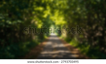 A blurred image of a pathway through a forest with lush green trees and sunlight filtering through the leaves, creating a serene and natural scene.