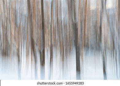 Blurred Image Of Threes. Abstract Lanscape