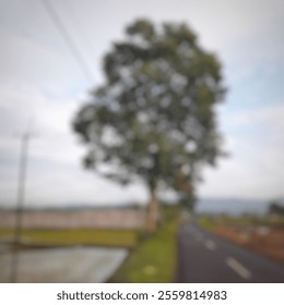 A blurred image of a tree beside a road, with a hazy sky and distant landscape. The focus is soft, creating an impressionistic feel.
 - Powered by Shutterstock