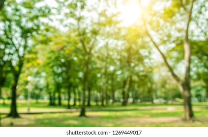 867,952 Forest backdrop Images, Stock Photos & Vectors | Shutterstock