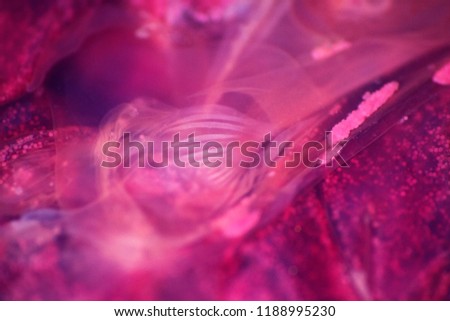 Blurred. jellyfish macro structure of the outer epidermis, middle mesoglea, and the inner gastrodermis and water. One of the oldest animals on earth