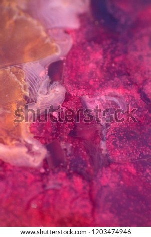 Blurred. jellyfish macro structure of the outer epidermis, middle mesoglea, and the inner gastrodermis and water. One of the oldest animals on earth