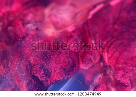 Blurred. jellyfish structure of the outer epidermis, middle mesoglea, and the inner gastrodermis and water. One of the oldest animals on earth. Ultramacro