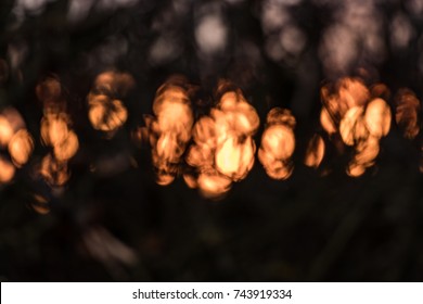 Blurred light background small