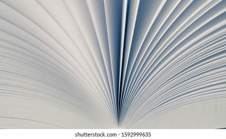 Blurred. A light background from the white pages of a white open book - Powered by Shutterstock