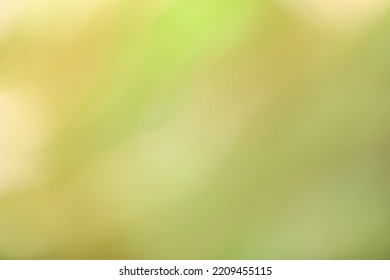 Blurred light green   beige background  Defocused art abstract olive gradient backdrop and blur   bokeh  Blurry wallpaper 