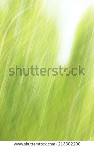 Similar – Image, Stock Photo it greenens so greenly