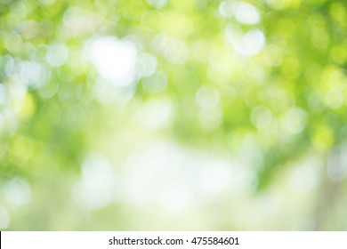 Blurred light of tree. - Shutterstock ID 475584601