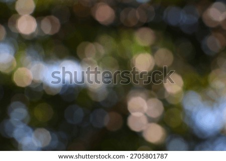 Blurred lights create a soft bokeh background with a dreamy natural atmosphere and gentle diffused light effects.