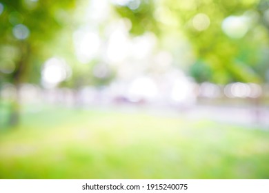 Blurred Natural Background. Spring Summer Defocused Greenery Background In Park On Nature.