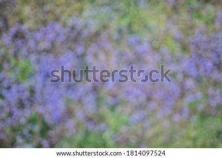 blurred natural digital background puple and green 