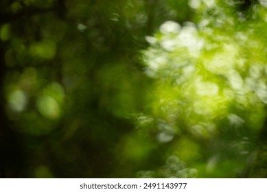 blurred natural green leaves Free space, health concept - Powered by Shutterstock