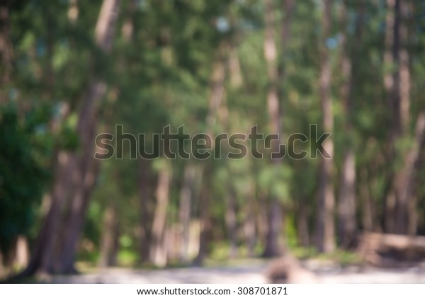 Blurred Nature Background Bokeh Nature Background Stock