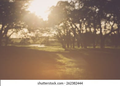 Blurred Nature Background with Instagram Style Filter
