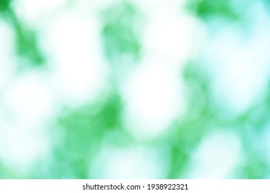 Blurred Nature Bokeh For The Background,Green Background