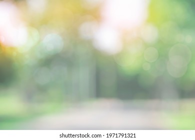 Blurred Nature Green Tree In A Park Background. Natural Trees And Lawn With Walkway In Outdoor Garden With Light Bokeh From Sunlight And Sky. Abstract Blur Nature Landscape Green Environment Concept
