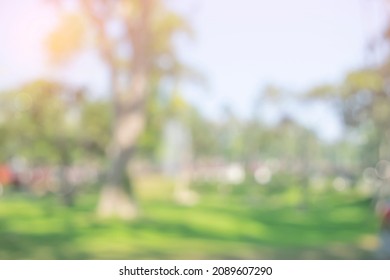 Blurred Nature Green Tree In A Park Background. Natural Trees And Lawn In Outdoor Garden With Light Bokeh From Sunlight And Sky. Abstract Blur Nature Landscape Green Environment Concept
