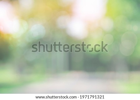 Blurred nature green tree in a park background. natural trees and lawn with walkway in outdoor garden with light bokeh from sunlight and sky. Abstract blur nature landscape green environment concept
