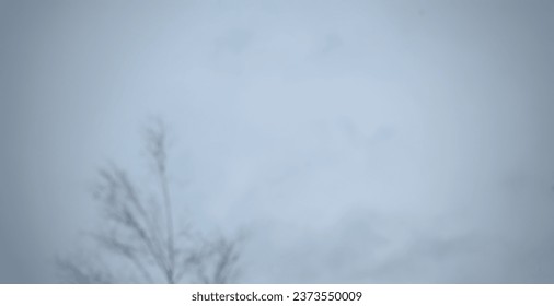 blurred old tree and sky. gloomy day