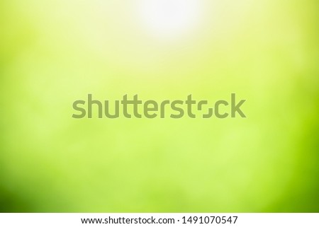 Blurred out focus of green nature leaf under sunlight. Use for wallaper or background.