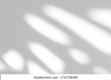 Blurred overlay effect for photo and mockups. Textured white wall with organic drop diagonal shadow of art deco stained glass window  - Shutterstock ID 1715758180