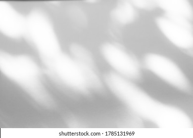 Blurred overlay effect for photo. Organic drop shadow and dappled light on a white wall. Abstract neutral nature concept background for design presentation. Shadows for natural light effects - Shutterstock ID 1785131969