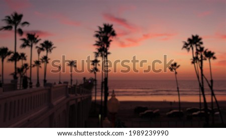 Blurred palms silhouette, twilight sky, California USA, Oceanside pier. Dusk gloaming nightfall atmosphere. Tropical pacific ocean beach, sunset afterglow aesthetic. Dark palm tree, Los Angeles vibes.