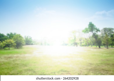 Blurred Park Abstract Background