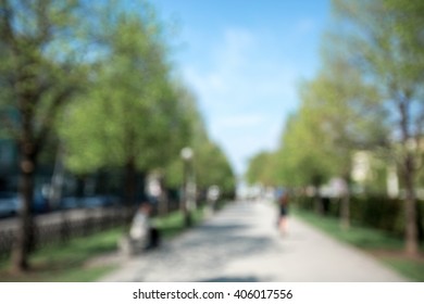 Blurred Park Background. Blurry Green Grass. Spring Day. Bokeh