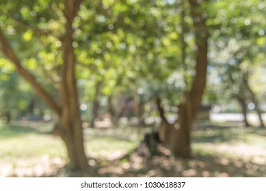 Blurred park with bokeh background from nature forest - Shutterstock ID 1030618837