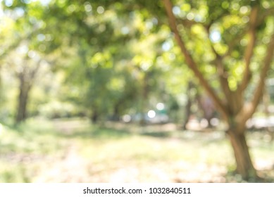 Blurred Park Bokeh Background Nature Forest Stock Photo 1032840511 ...