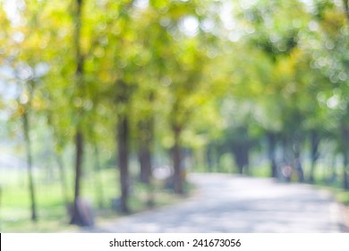 Blurred Park With Bokeh Light, Natural Background