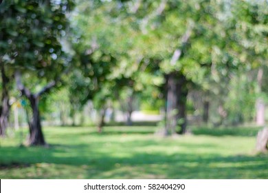 Blurred Park Bokeh Light Natural Background Stock Photo 582404290 ...