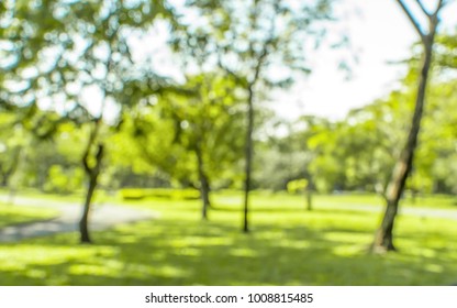 63,127 Blurry trees sunlight Images, Stock Photos & Vectors | Shutterstock