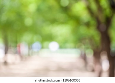 Blurred park, natural background - Shutterstock ID 1196100358