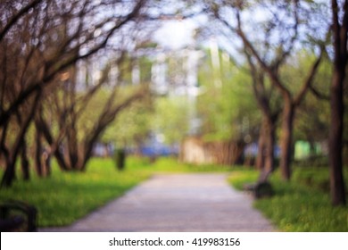 Blurred Park Trail Background