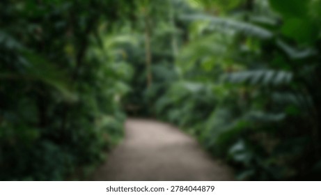 A blurred pathway winds through dense, vibrant green foliage, creating a sense of depth and mystery in a tropical forest setting. The image evokes a feeling of exploration and natural beauty.