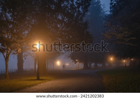 Blurred people in motion that walks in thick fog, on road surrounded by trees and illuminated by vintage street lamps in Phoenix Park, Dublin, Ireland
