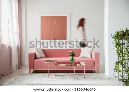 Similar – Image, Stock Photo a rose Living or residing