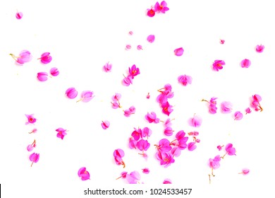 Blurred petal of flowers for background
