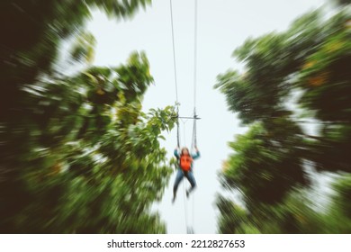 Blurred Photo For Background, Flying Fox Adventure Activity 