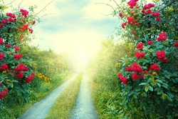 Blurred Photo Fantasy Art Wallpaper Spring Nature. Summer Backdrop Path, Mysterious Dirt Road, Mystical World, Fairytale Way Green Grass Trees, Bush Red Roses Magical Light. Foliage Garden Background