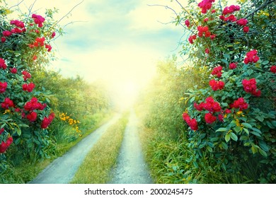 Blurred photo fantasy art wallpaper spring nature. Summer backdrop path, mysterious dirt road, mystical world, fairytale way green grass trees, bush red roses magical light. foliage garden background