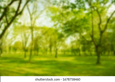 Tree Background Images, Stock Photos & Vectors | Shutterstock