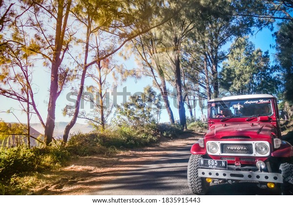 Blurred picture of Red\
off road 4x4 wheels jeep vehicle driving on a road trip through\
forest with morning sunlight and shadow Mount Bromo, Surabaya,\
Indonesia, April 2019