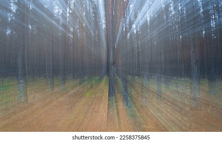 Blurred pine autumn misty forest. Abstract natural background. - Shutterstock ID 2258375845