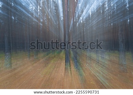 Similar – Holzweg Umwelt Natur