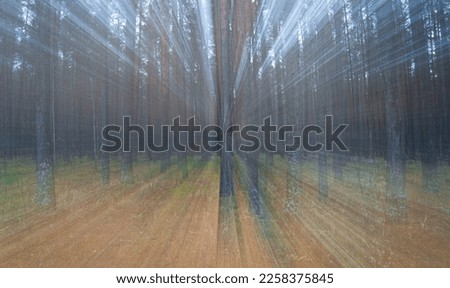 Similar – beech forest Snow Snowfall