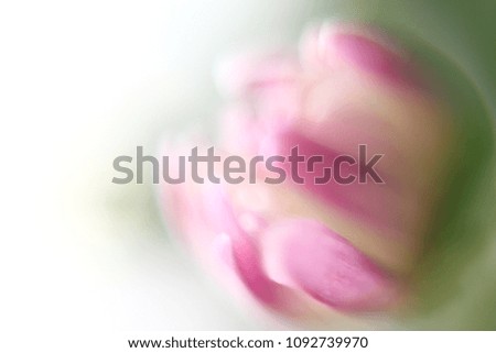 Similar – Geese and flowers