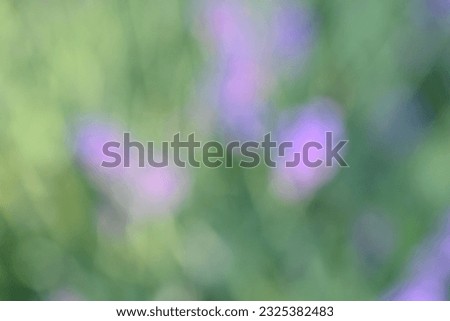 blurred purple green lavender color background, blurred abstract background, sustainable development concept, zero footprint, 
pastel gradient green purple background